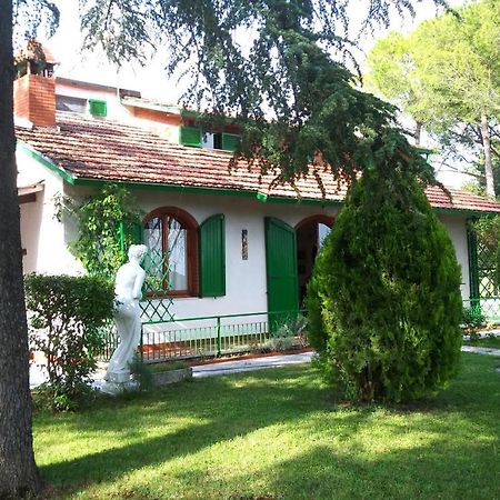 마지오네 I Pini House 빌라 외부 사진